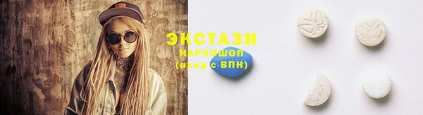 индика Протвино