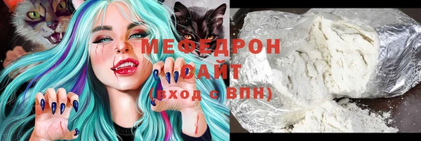 индика Протвино